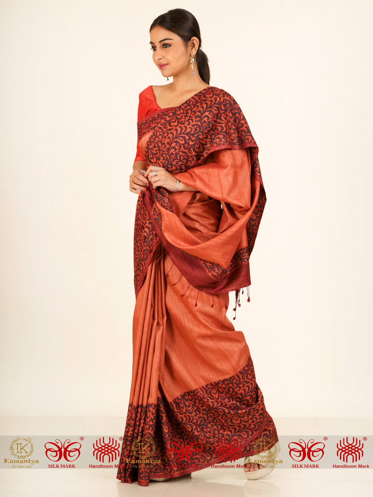 Tinkle of Tassels - Saree